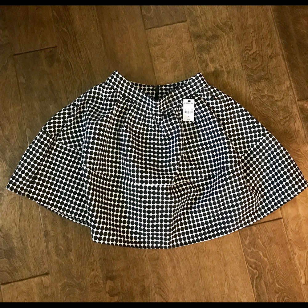 Express skirt